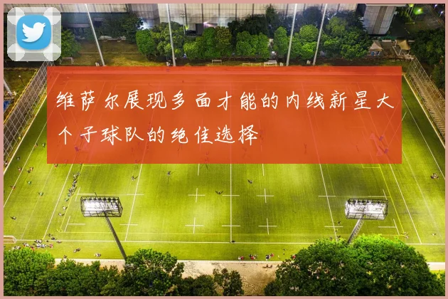 维萨尔展现多面才能的内线新星大个子球队的绝佳选择